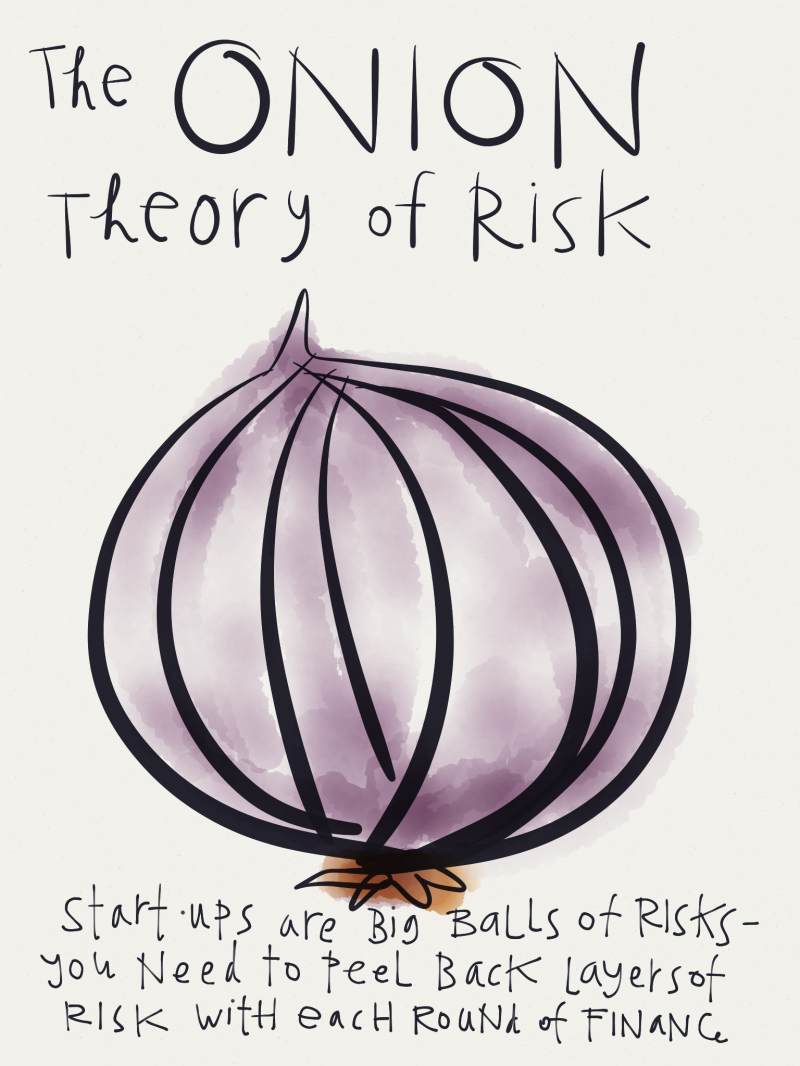 Startup - Onion Theory of Risk