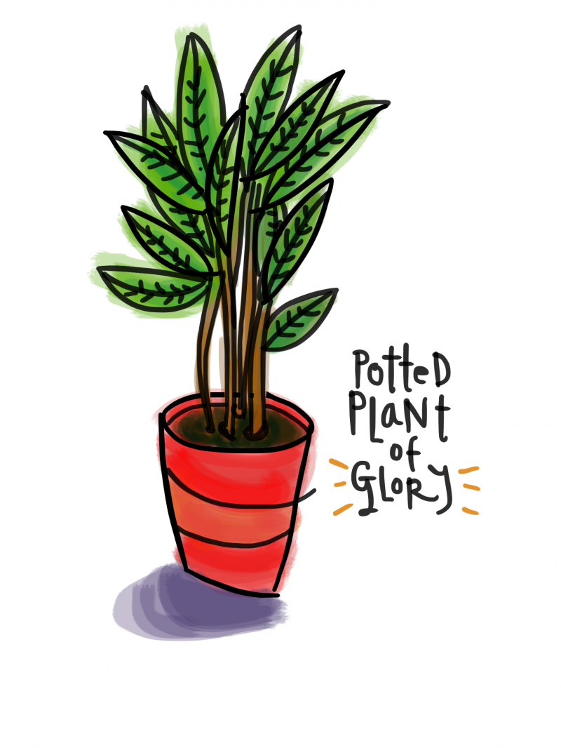 Dojo - Potted Plant Of Glory 2013-06-07 (01.12.28-696 PM)