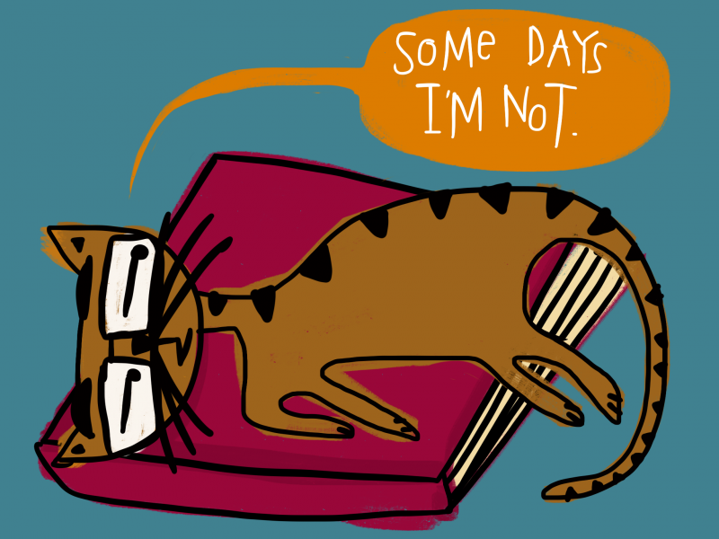 Some Days I am Not - Cat