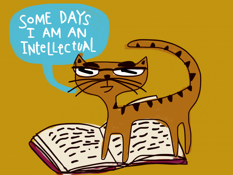 Some Days I am an Intellectual - Cat