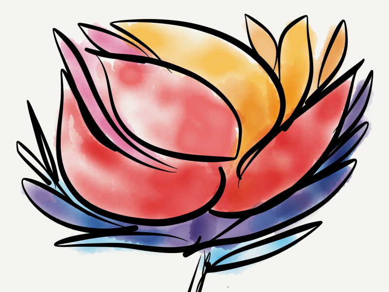 Watercolor flower sketch