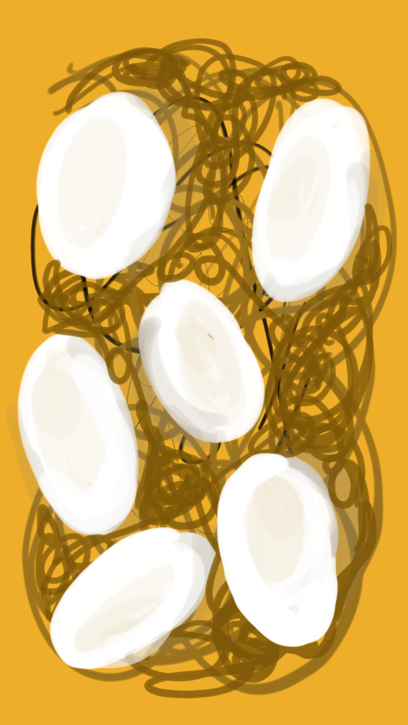 Eggs in a nest